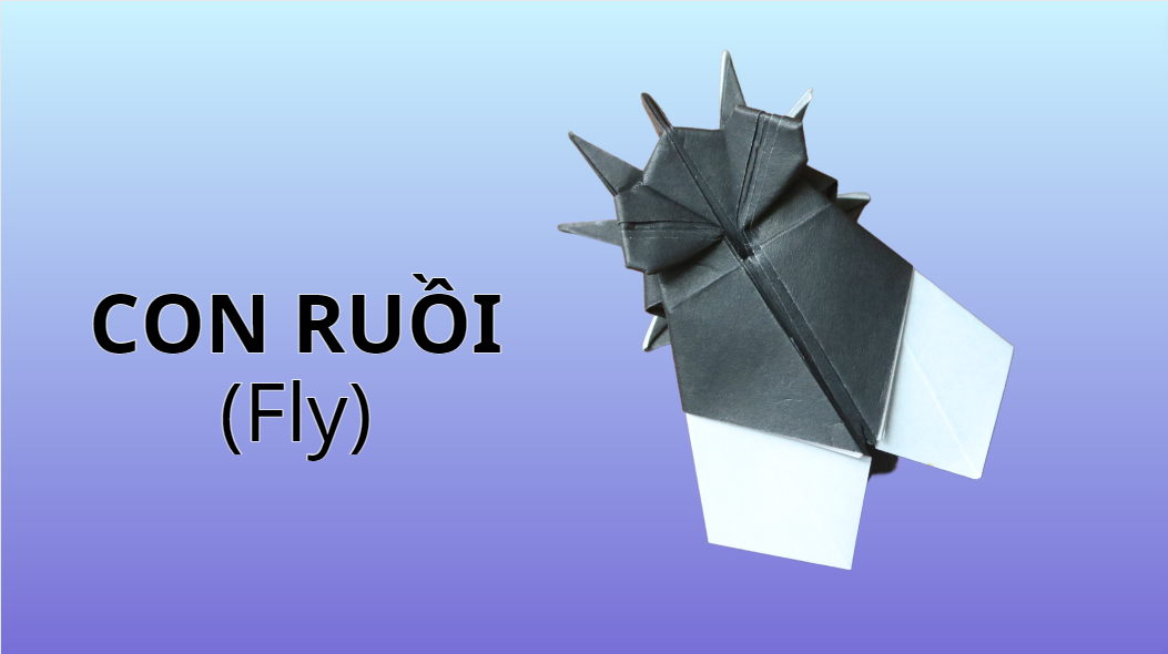Video 51: Mẫu gấp Con ruồi - The Art of Paper Folding: Fly